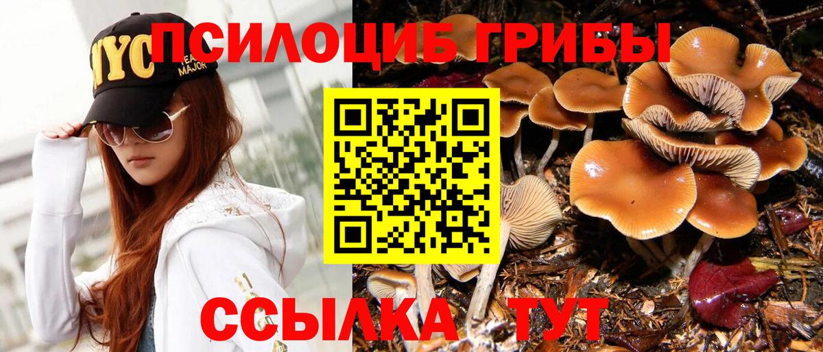 Наркошоп  ГАШ  МДМА  Бошки Шишки  COCAIN  Лсд 25  A PVP СК кристаллы  Бошки Шишки  Вход с VPN  Гашиш  Всеволожск  МЕФ  