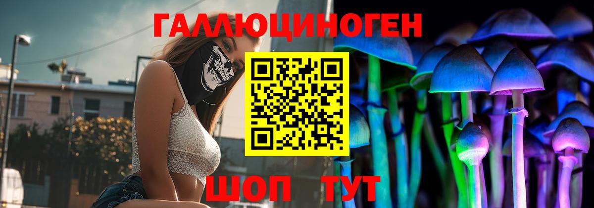 Галлюциногенные грибы Psilocybine cubensis  Вход с VPN  Всеволожск 